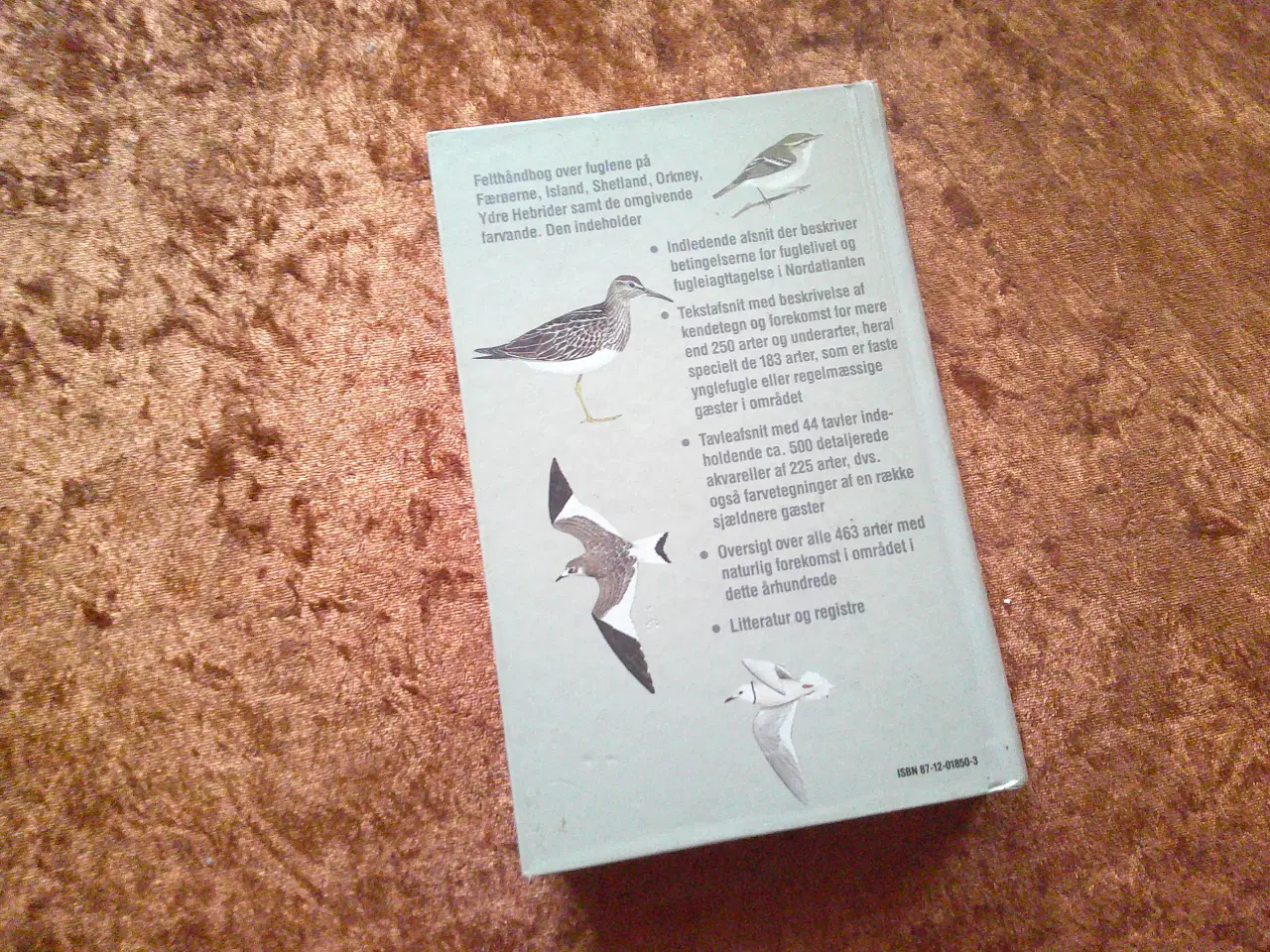 Billede 2 - Fugle i Nordatlanten, Søren Sørensen