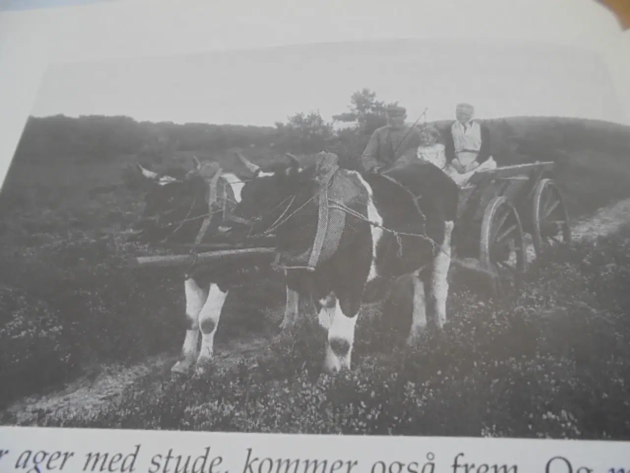 Billede 3 - Hjulenes by fik handelsry – Viborg handelsstandsfo