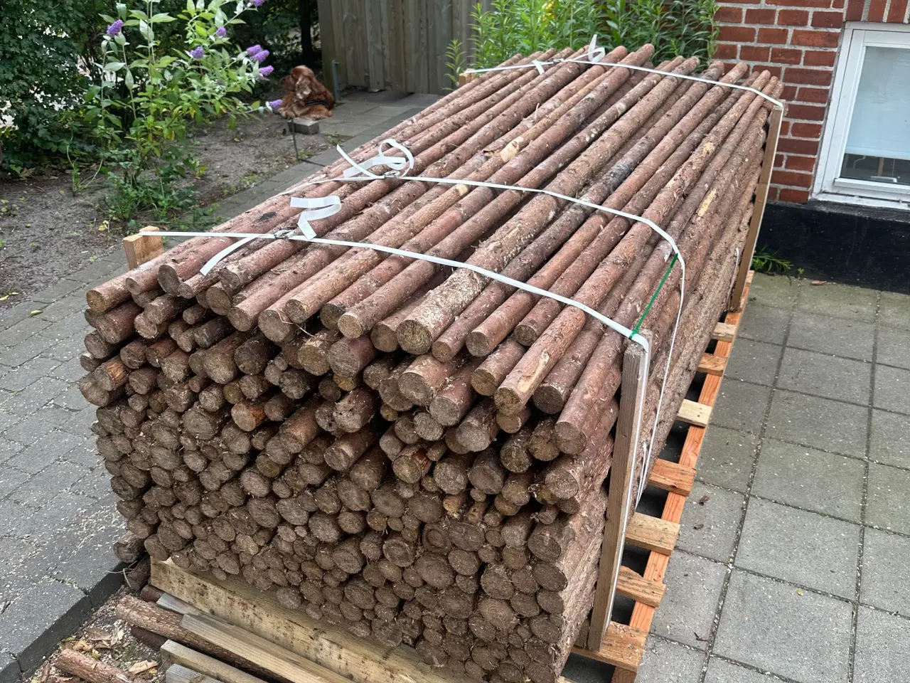 Billede 2 - Rafter med bark 265 stk
