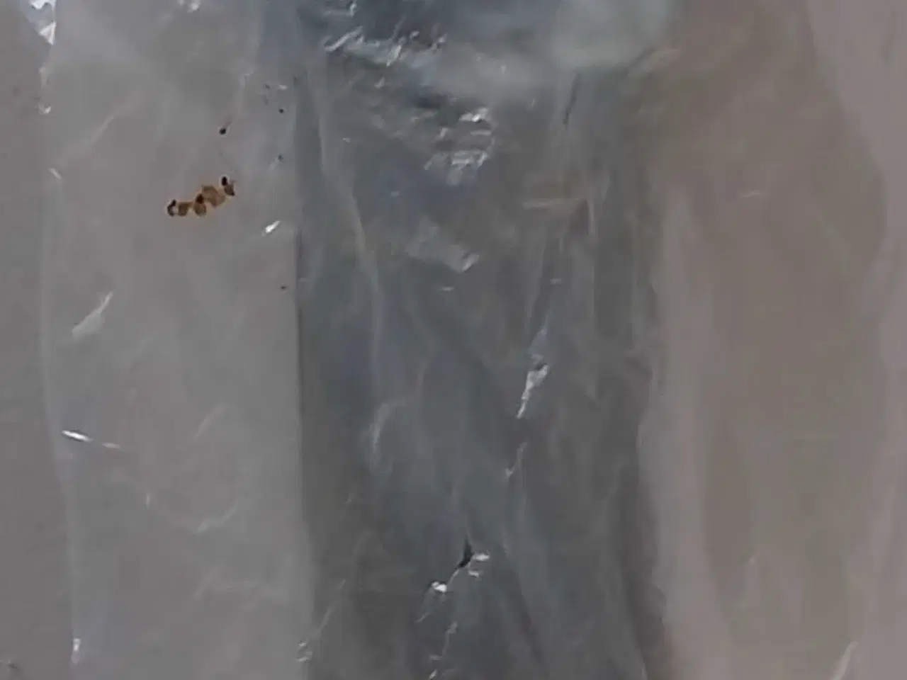 Billede 4 - Cykeltrailer sælges