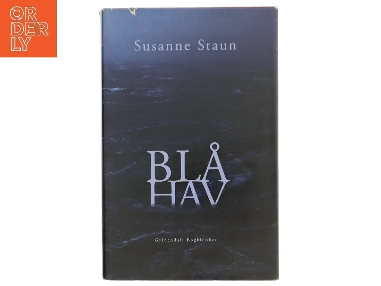 Billede 1 - Blå hav : roman af Susanne Staun (Bog)