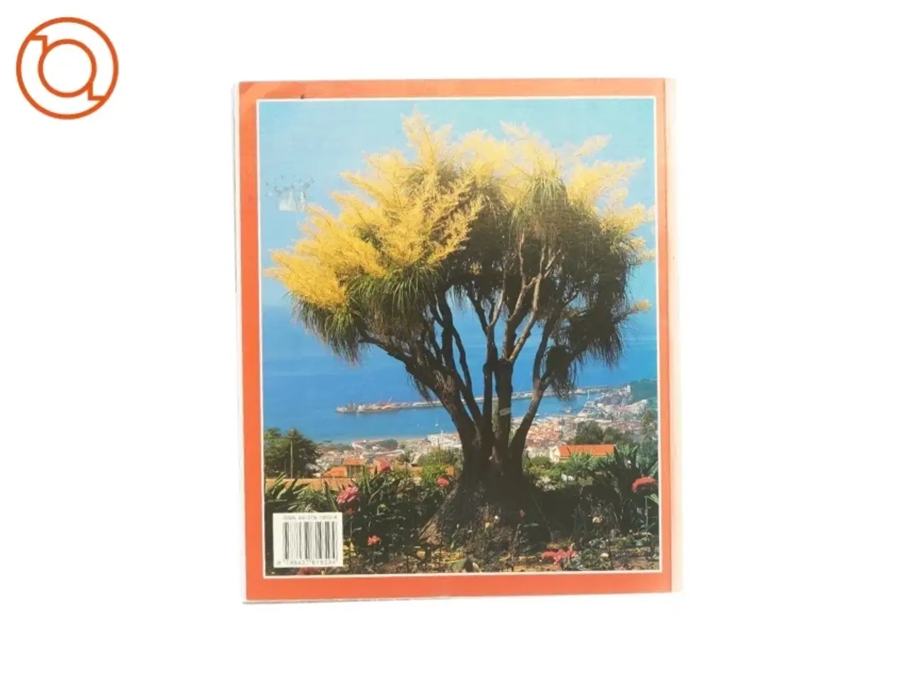 Billede 2 - Maderia + Porto Santo (Bog)