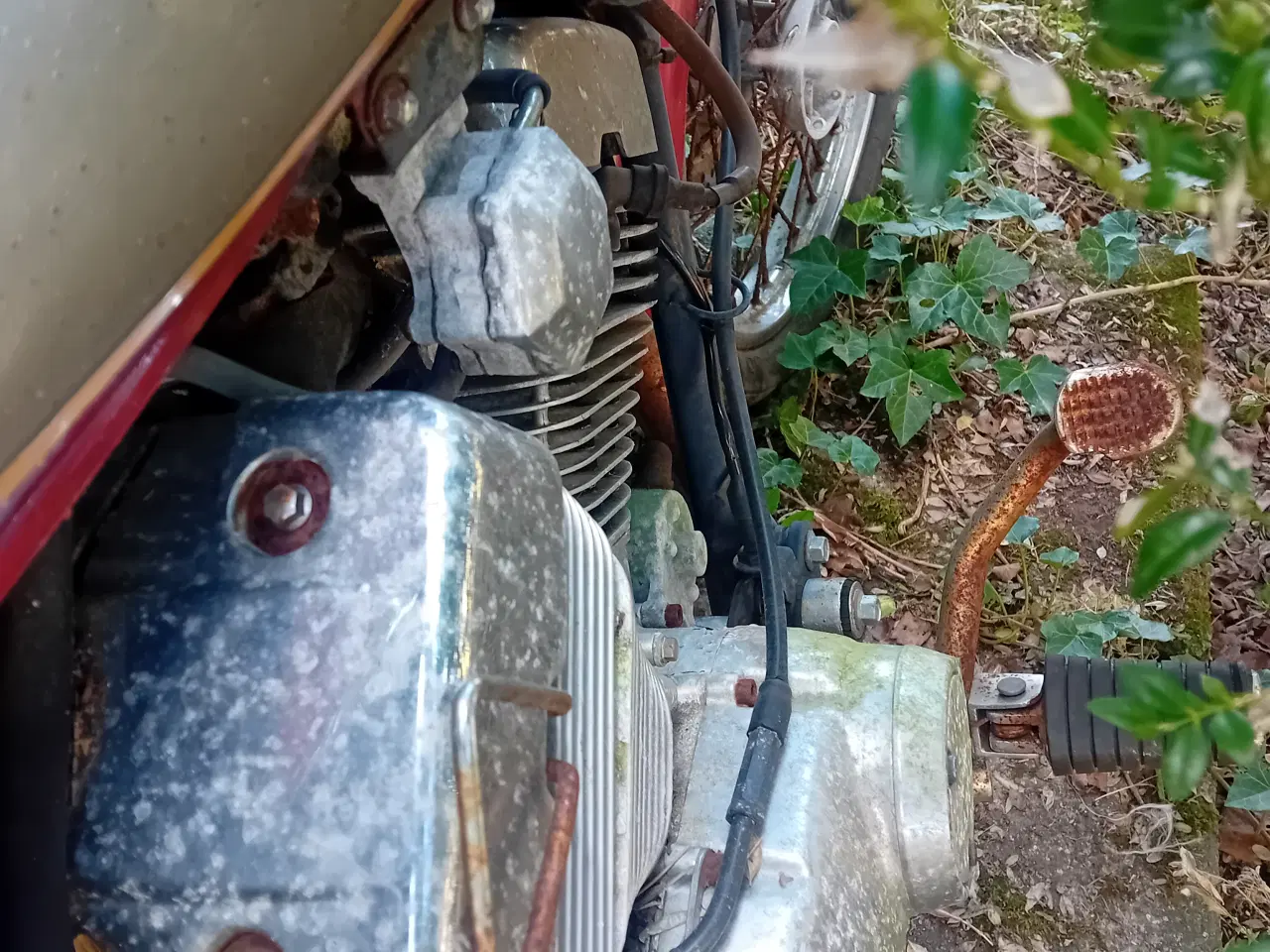 Billede 6 - Ledow Borelli