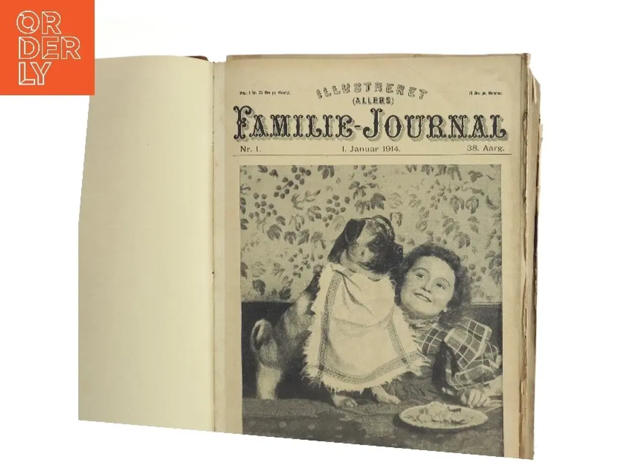 Billede 2 - Illustreret Familie-Journal (Bog)