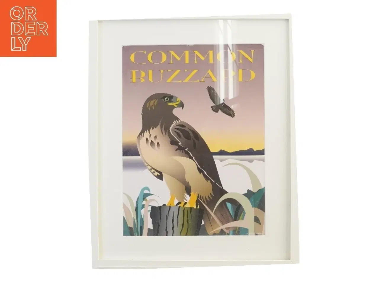 Billede 1 - Plakat fra Ping Pong med musvåge.