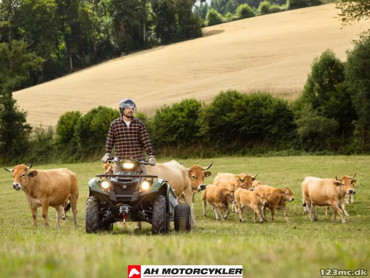 Billede 15 - Yamaha Kodiak 700 EPS Traktor