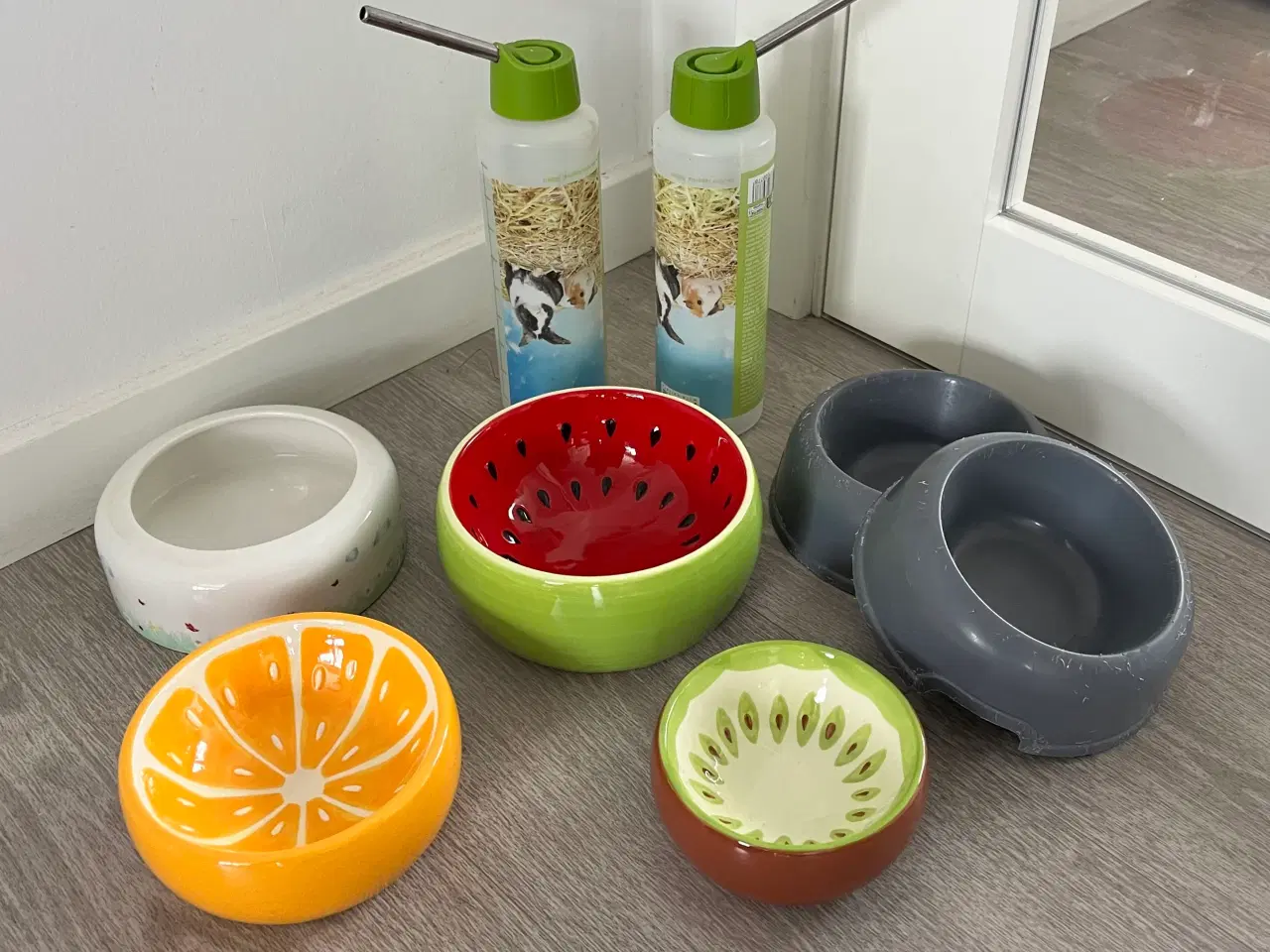 Billede 13 - To hun maresvin sælges med bur og alt tilbehør 