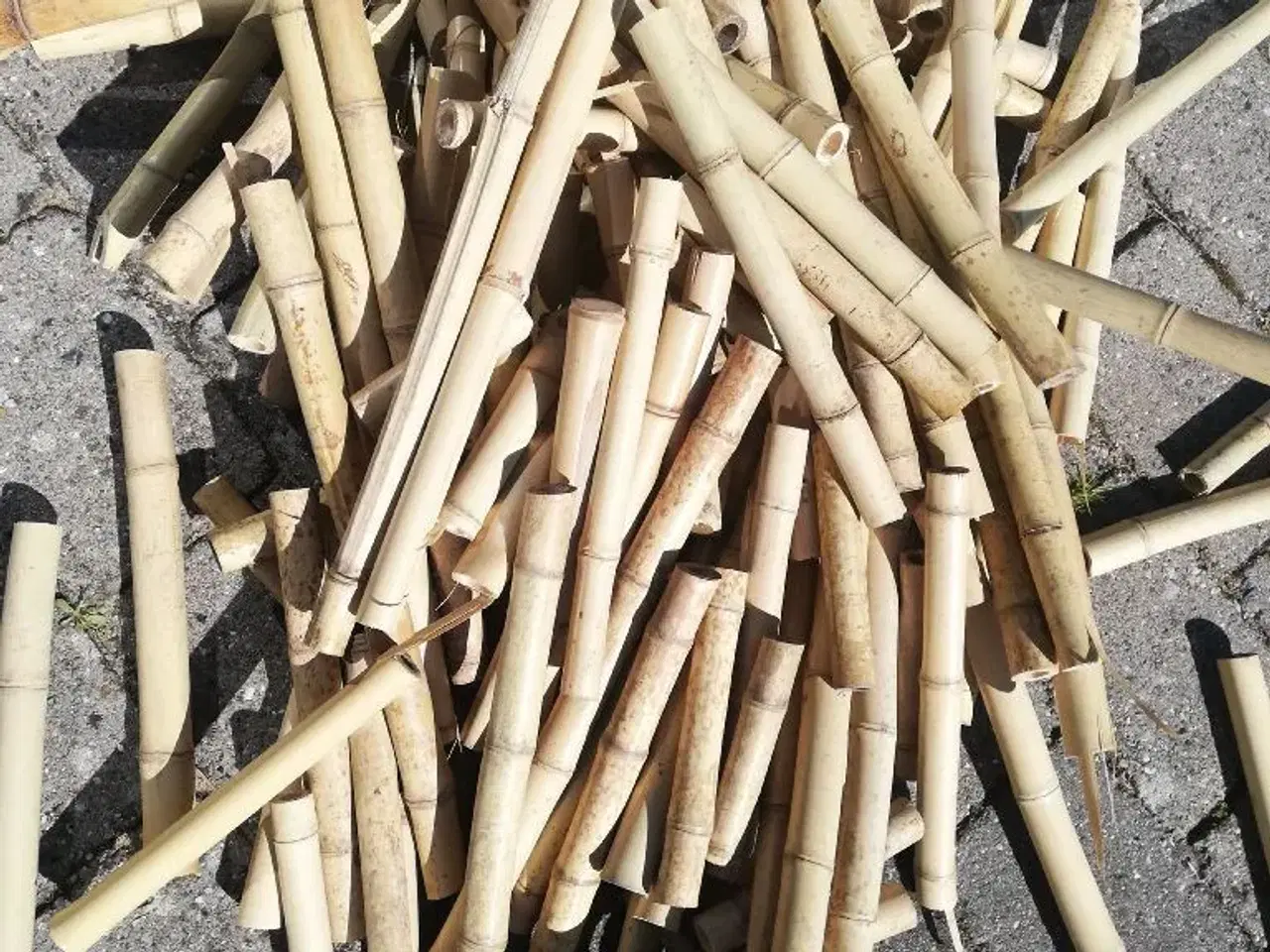 Billede 2 - Bambus stykker 10-50cm