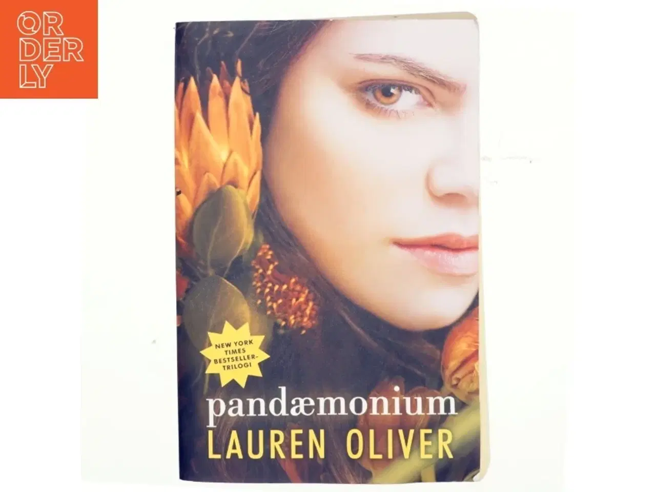 Billede 1 - Pandæmonium af Lauren Oliver (Bog)