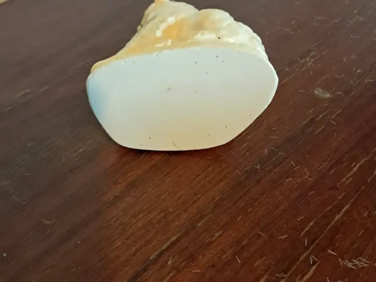 Billede 6 - Isbjørn