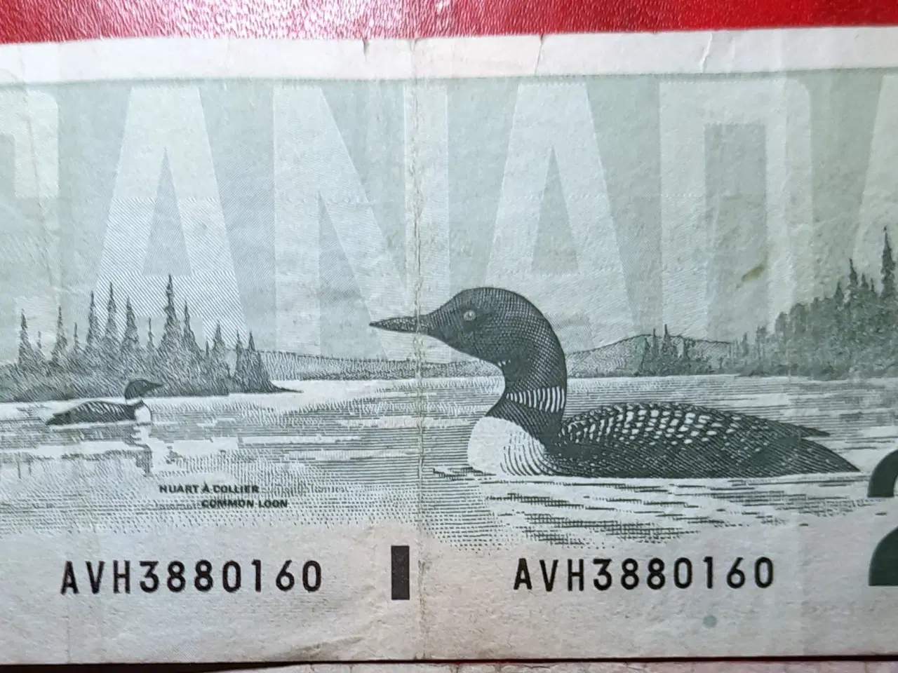 Billede 2 - CANADA VINGT TWENTY 20 Dollars 1991 Elizabeth II