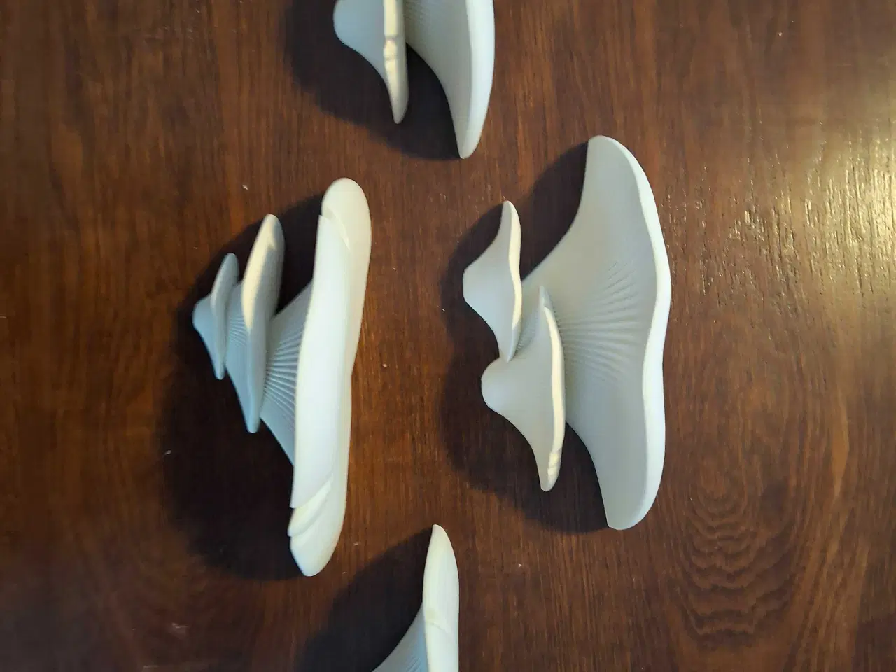 Billede 2 - Svampe hylder 