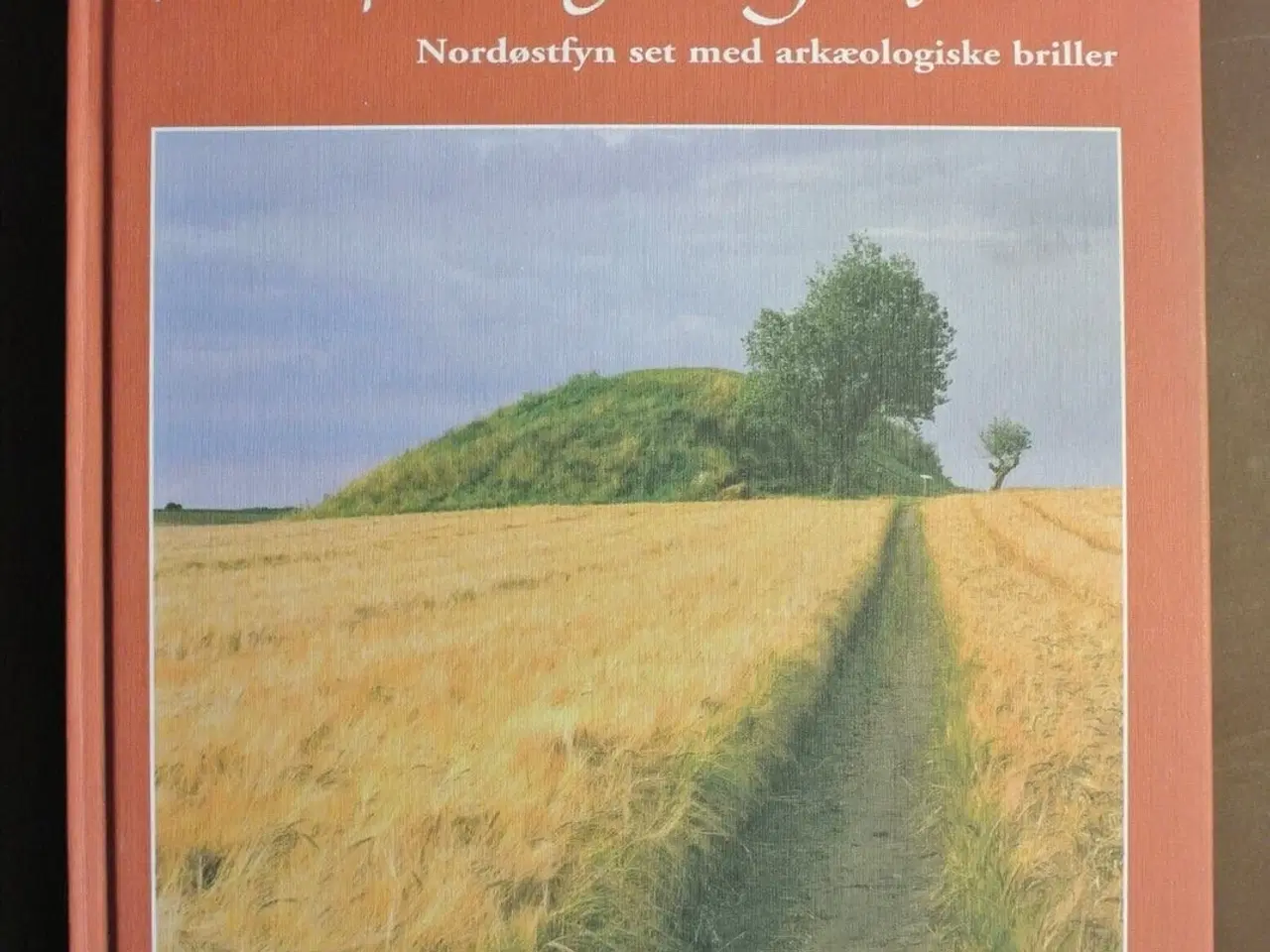 Billede 1 - hovedpander og andre folkeben - nordøstfyn set, Af