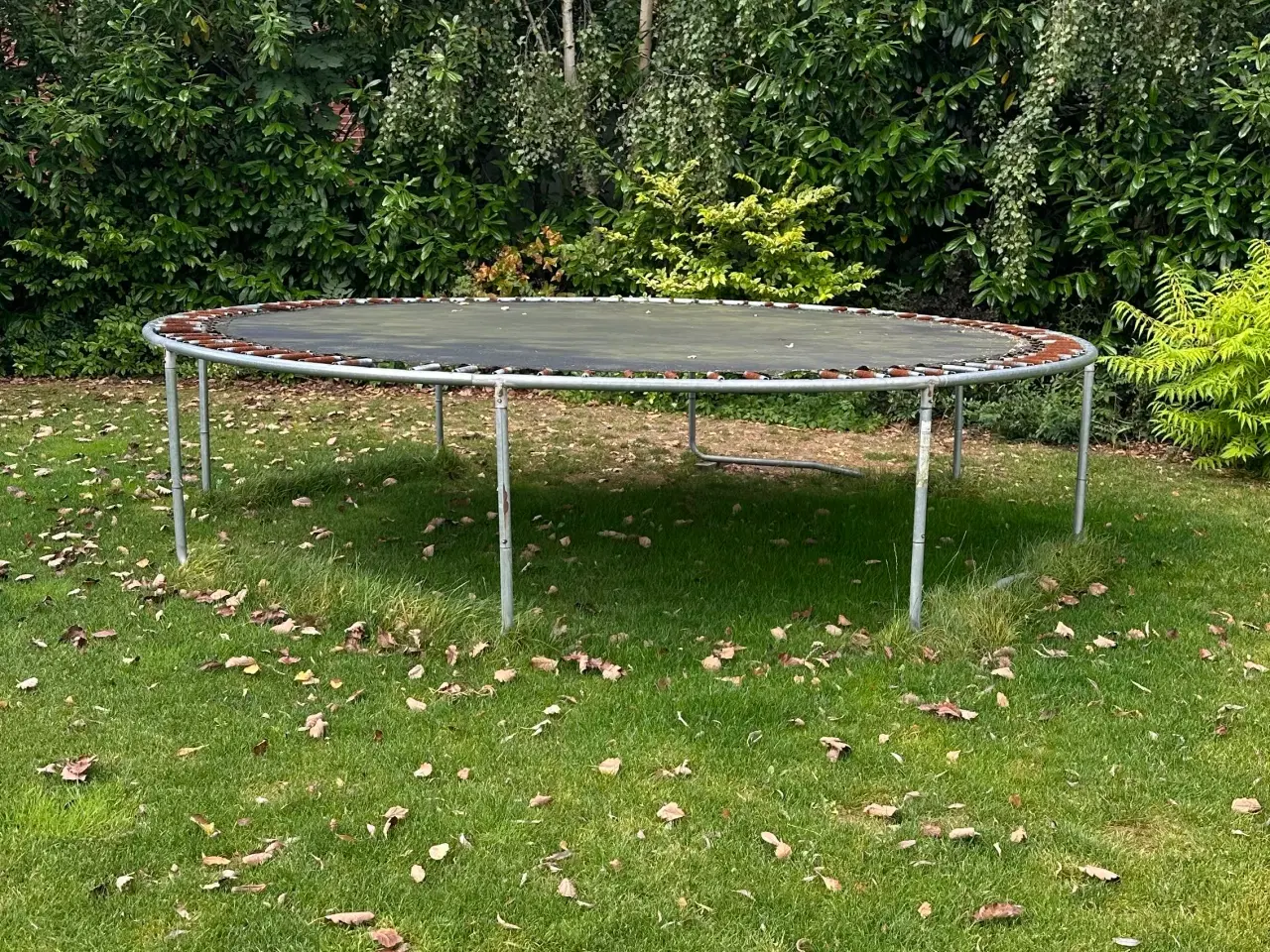 Billede 1 - Gratis trampolin 