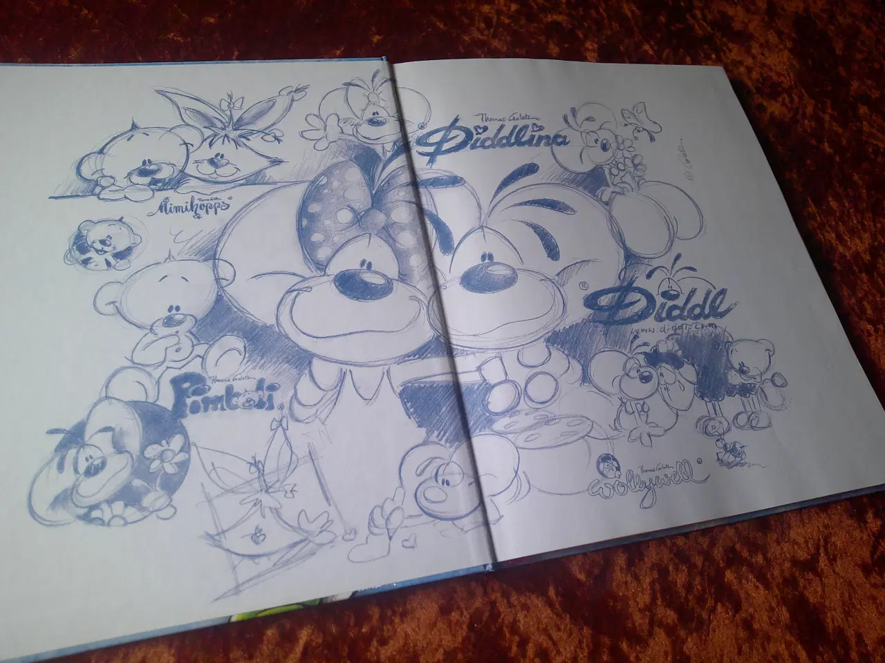 Billede 2 - Bogen om Diddl og hans venner, Thomas Goletz
