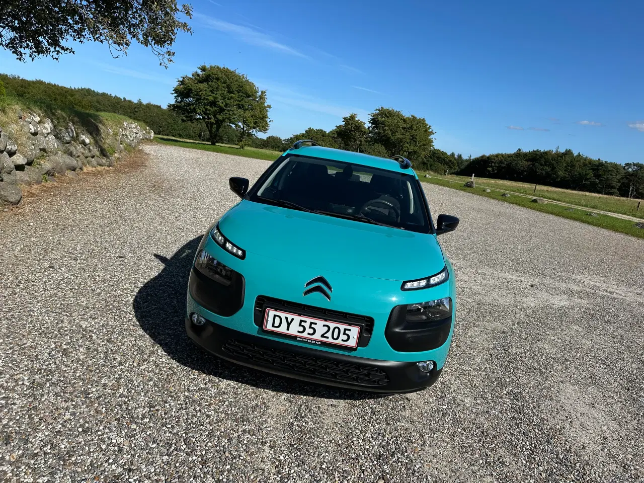 Billede 6 - Citroën c4 cactus