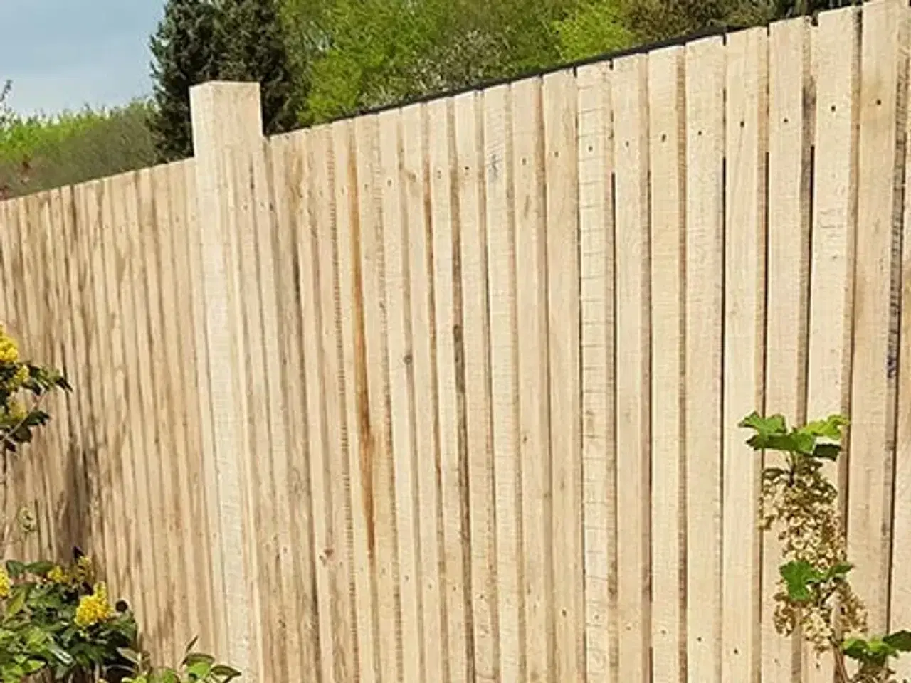 Billede 2 - Hegn i egetræ - hele DK