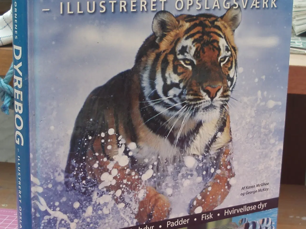 Billede 1 - Børnenes Dyrebog -Illustreret opslagsværk