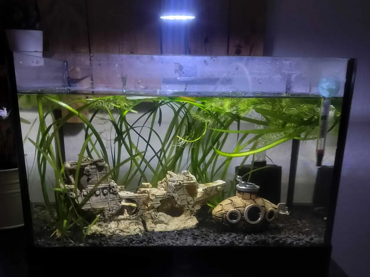 Billede 2 - Køreklar akvarie 