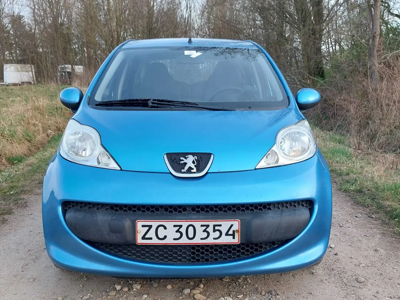 Billede 2 - Nysynet med plader