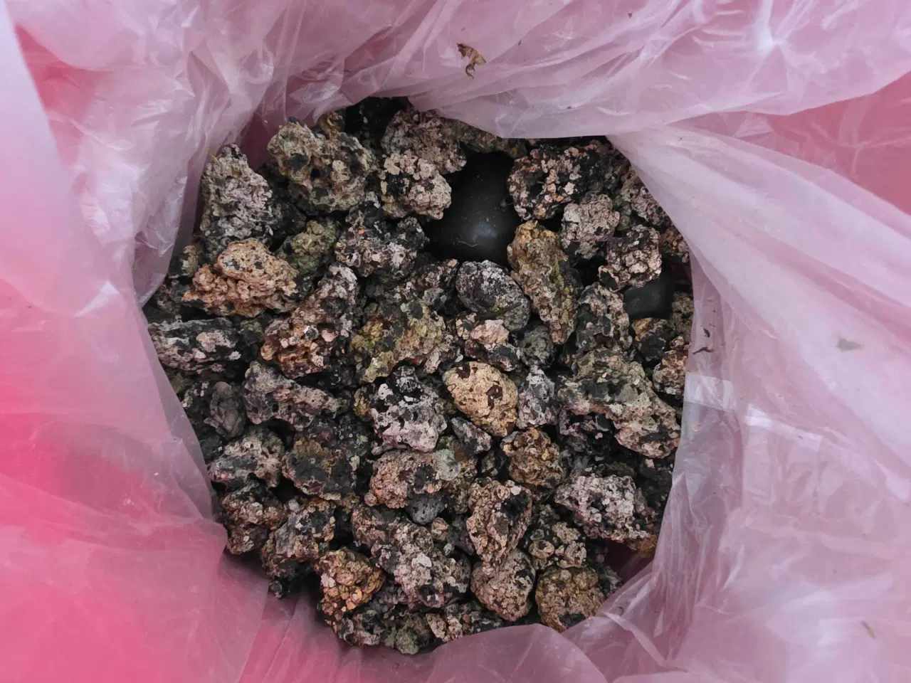 Billede 9 - BiOrb 60 udgået model