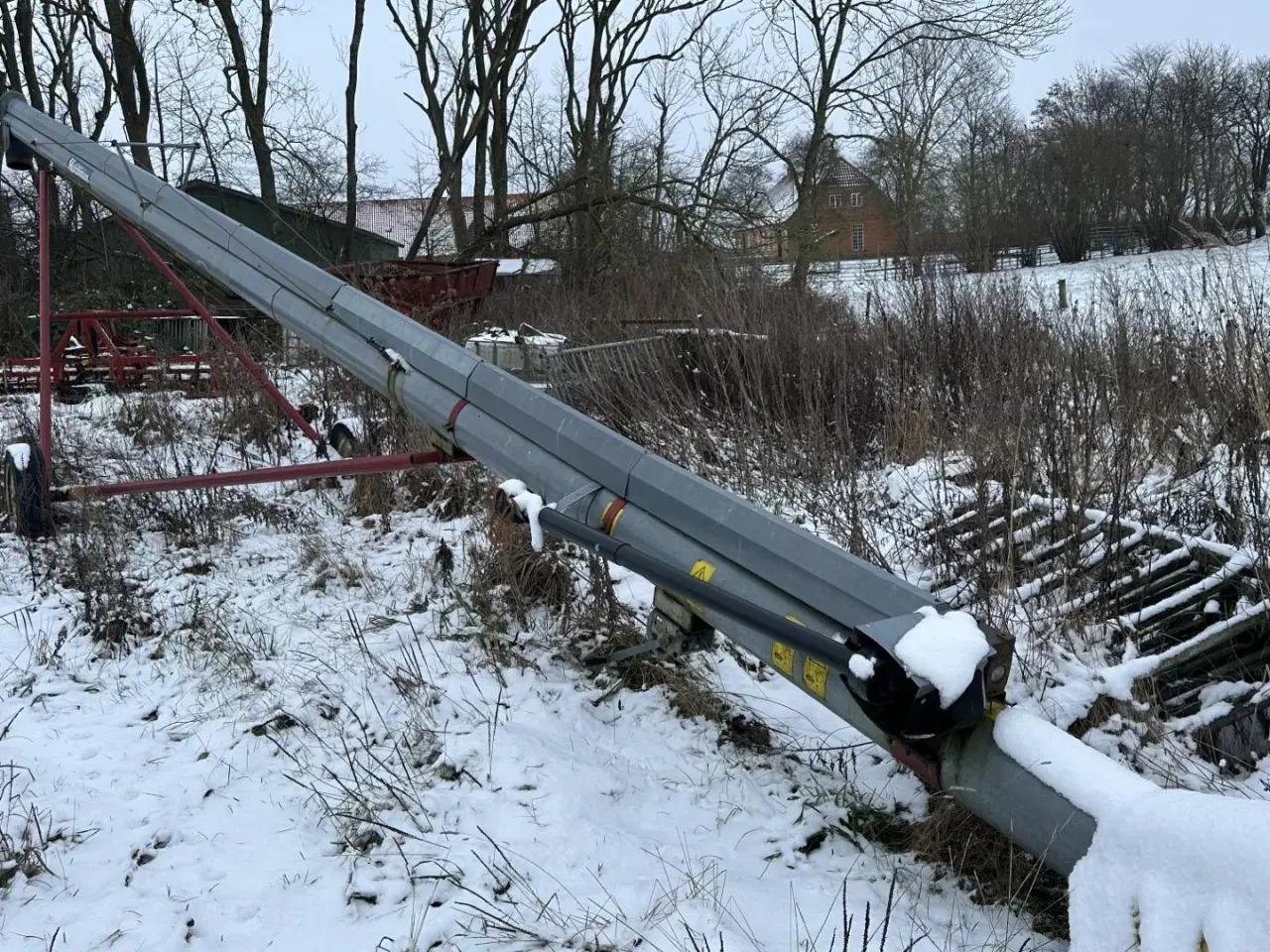 Billede 2 - Hutchinson kornsnegl