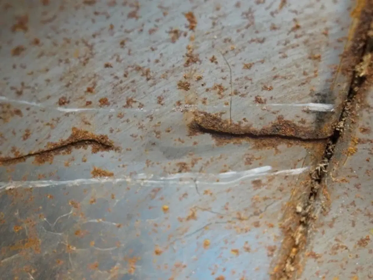 Billede 7 - Fendt 6300 Tømmerørs Vinkel 28885432