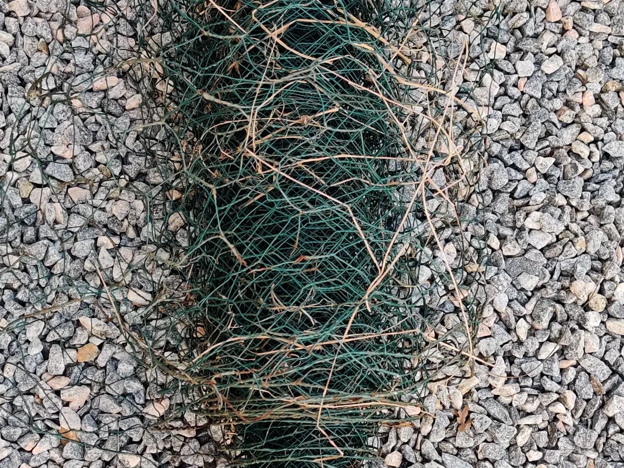 Billede 3 - Trådnet 25 meter x 45 cm høj