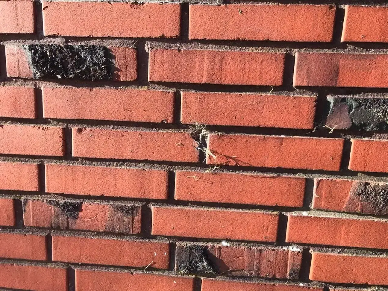 Billede 2 - søger mursten