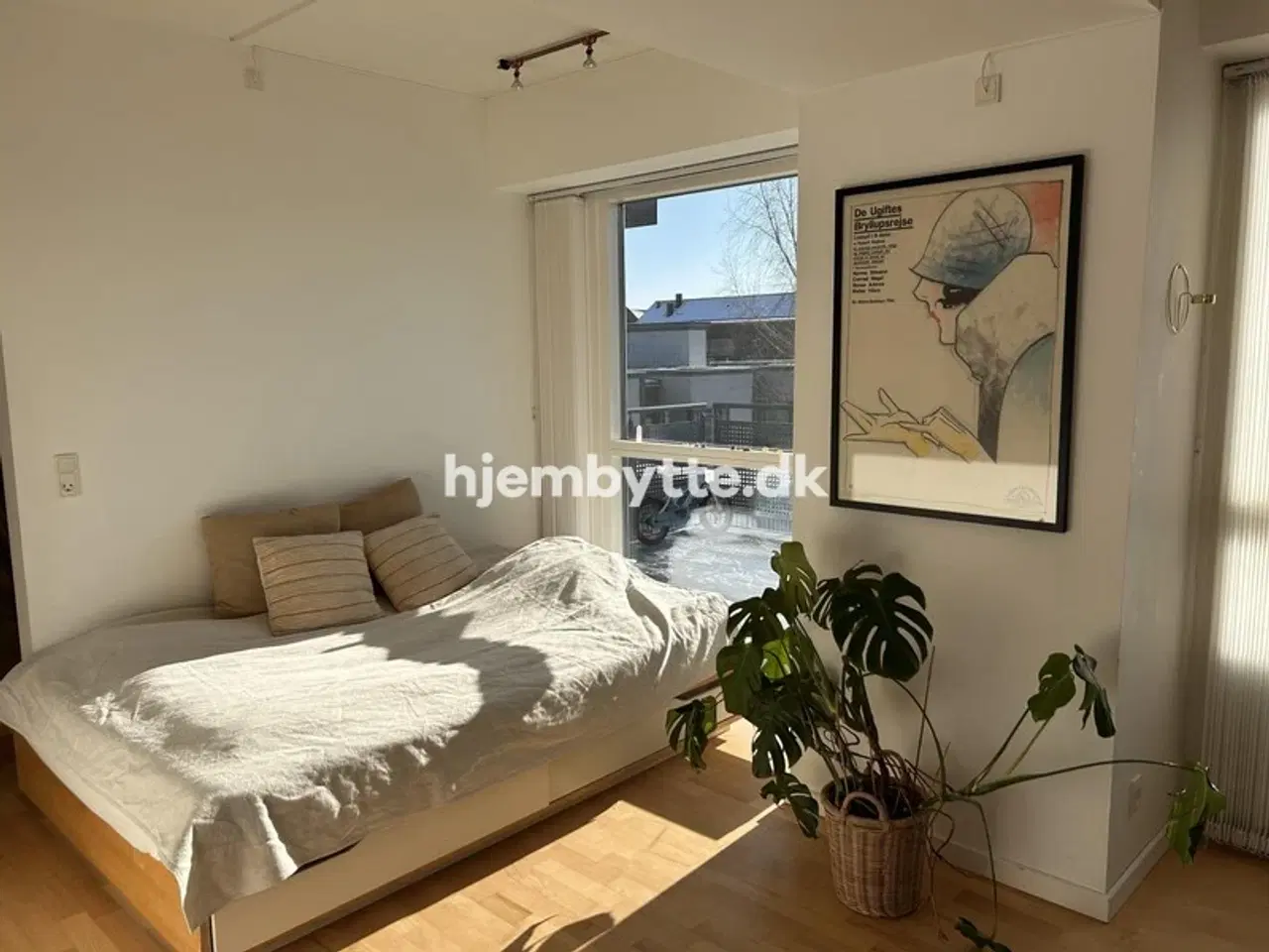 Billede 2 - Hjembytte - Falhøj