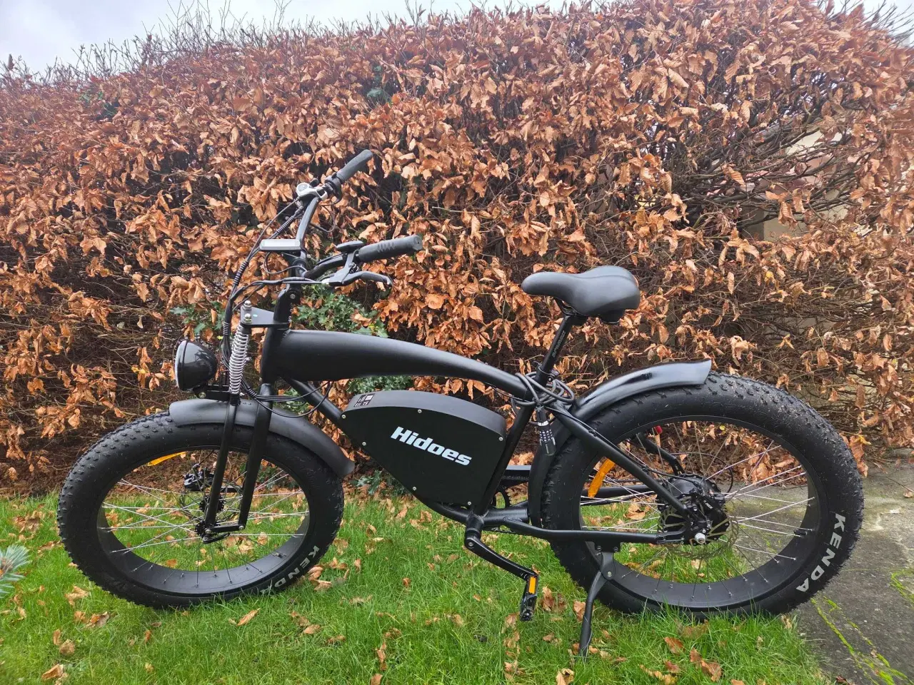 Billede 1 - Super fed Hidoes elcykel