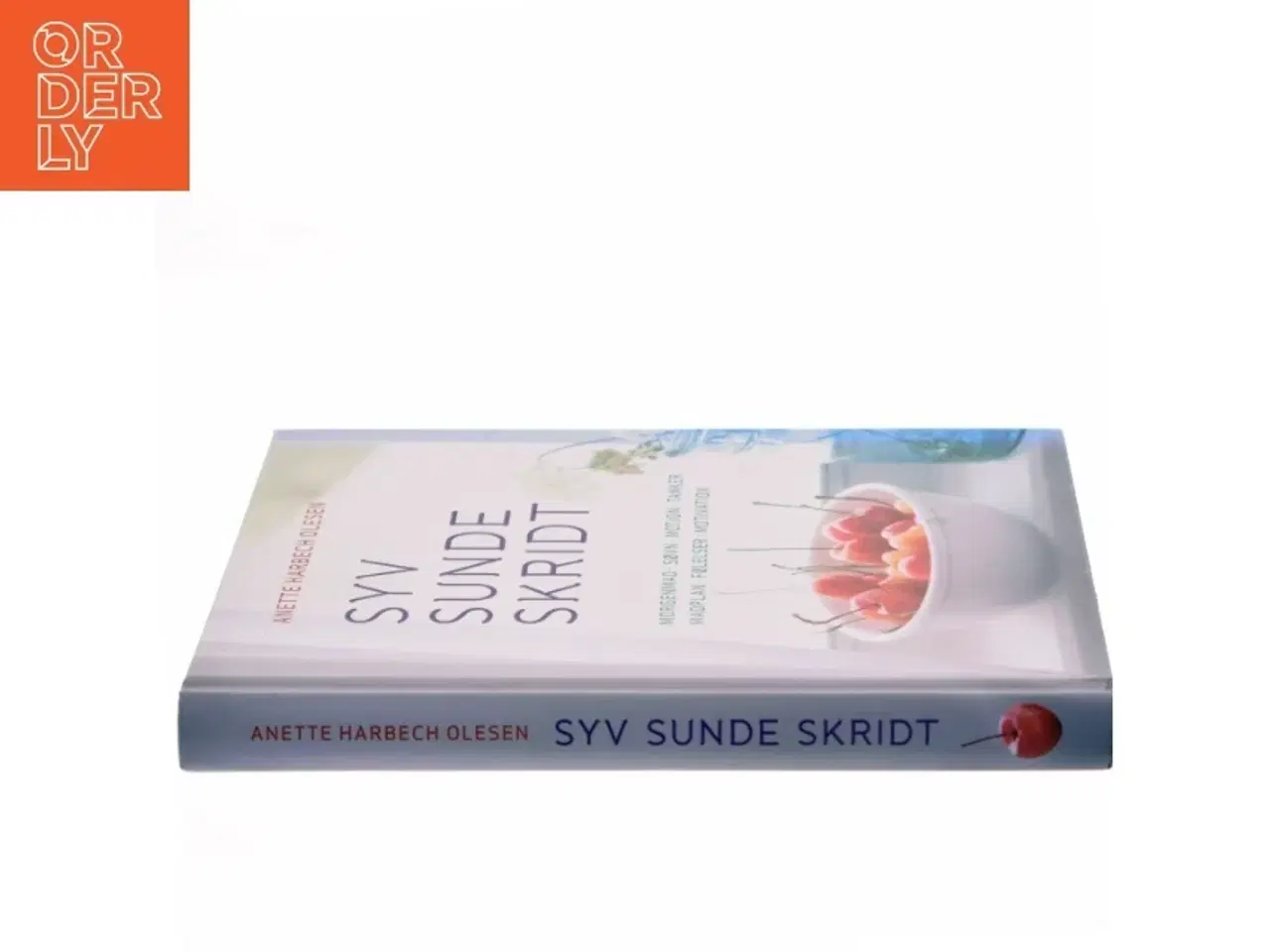 Billede 2 - Sund og i balance med syv sunde skridt af Anette Harbech Olesen (Bog)