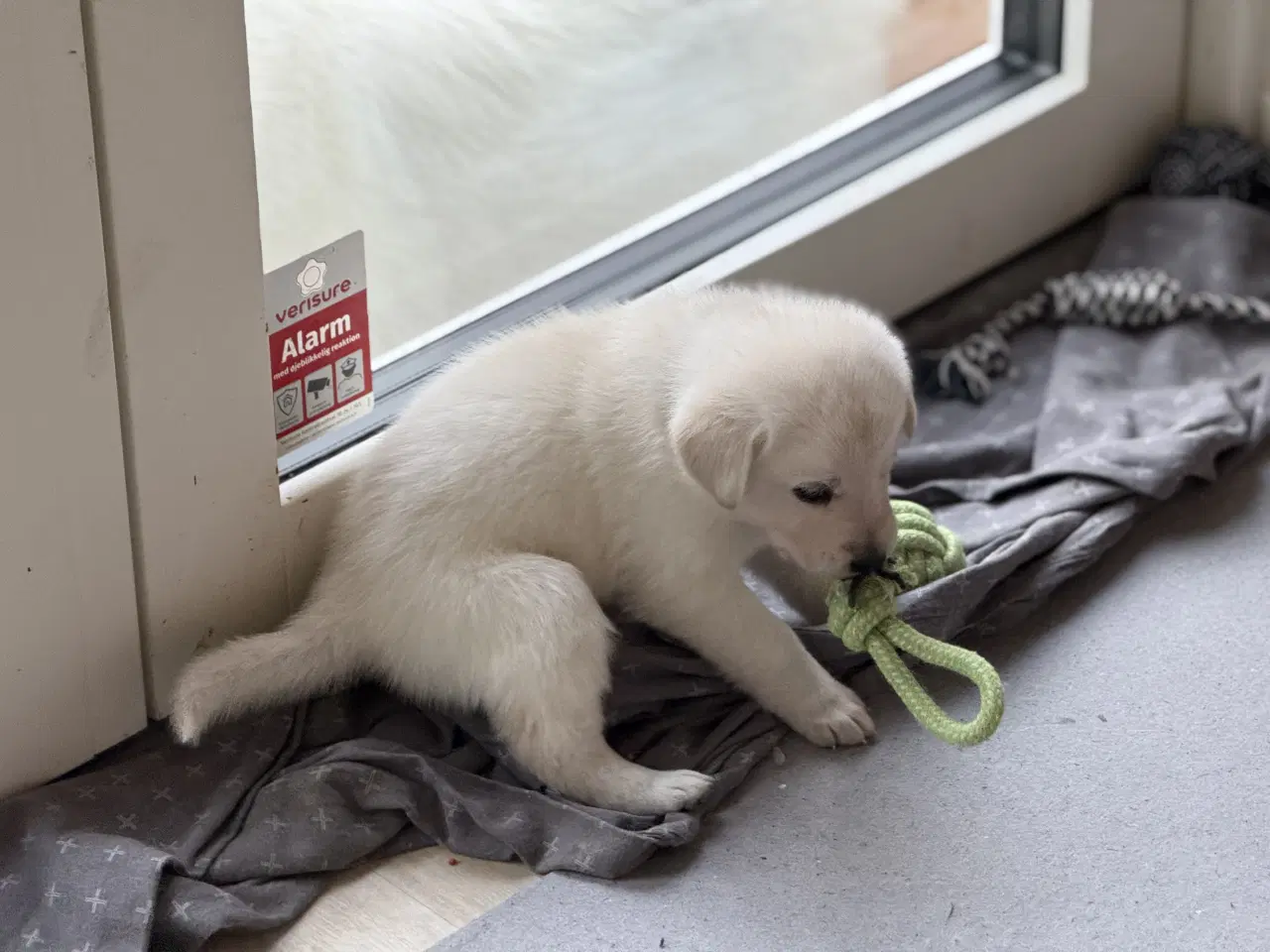 Billede 1 - Mangler du en blød julegave 