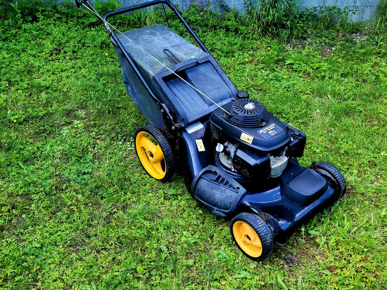 Billede 3 - Mcculloch M53-190DWA