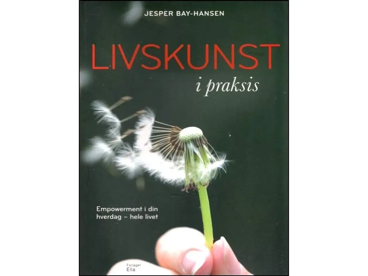 Billede 1 - Livskunst i praksis