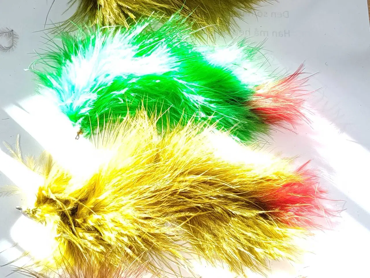 Billede 1 - 5 styks børsteorm 's fluer.