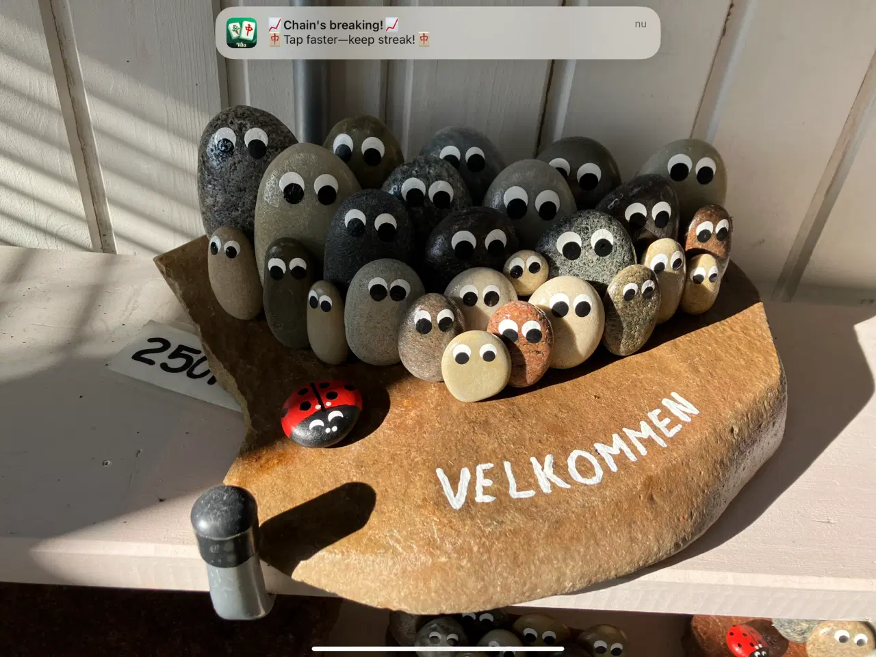 Billede 8 - Øjesten i flere størrelser