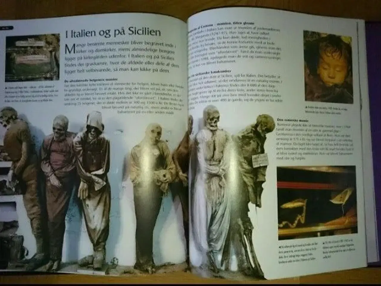Billede 3 - Spændende bog om mumier