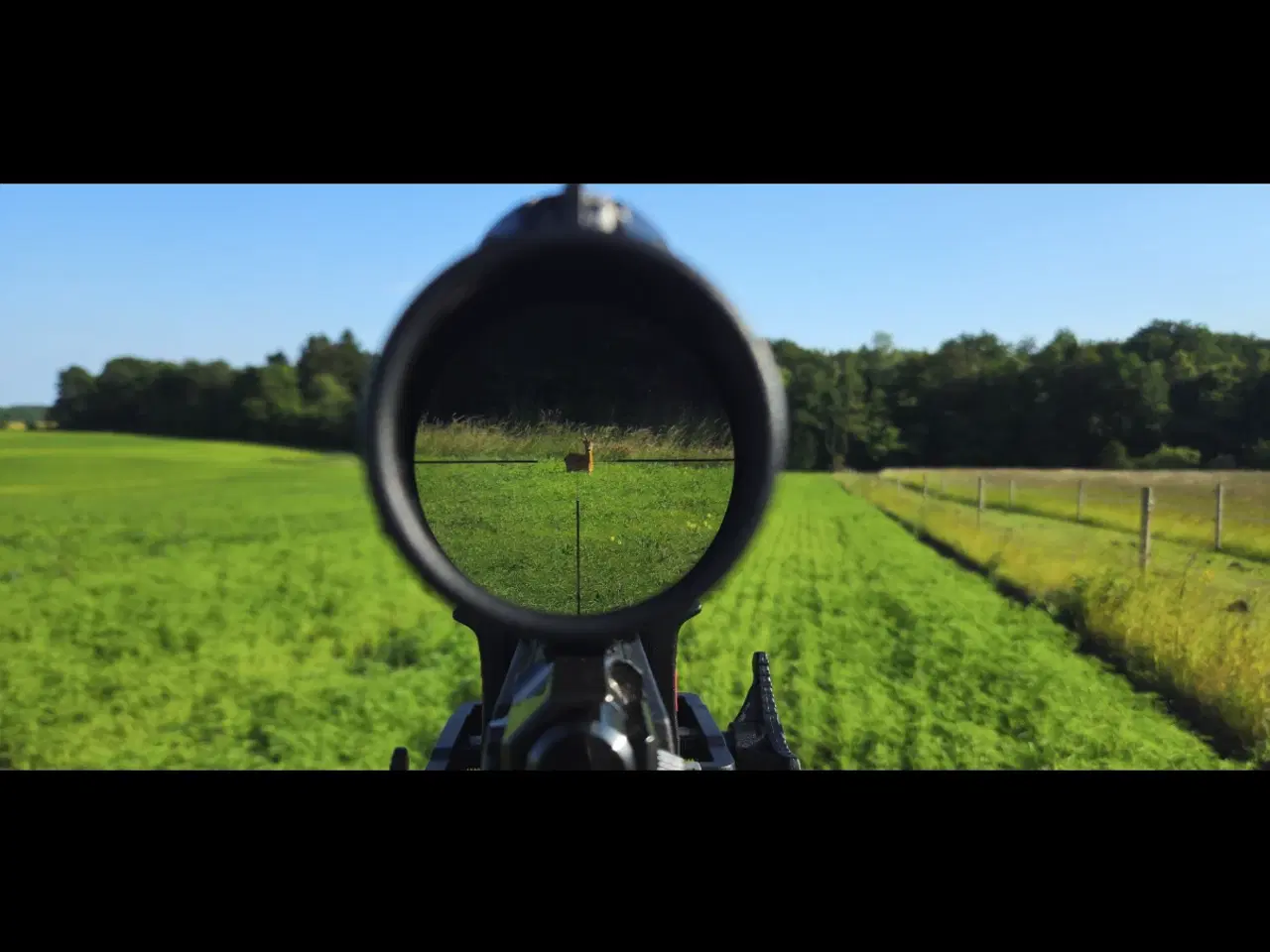 Billede 8 - Schultz og Larsen classic dl 308 Win