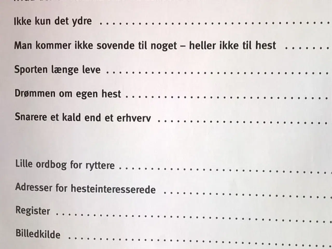 Billede 3 - Heste - Vore ædle venner