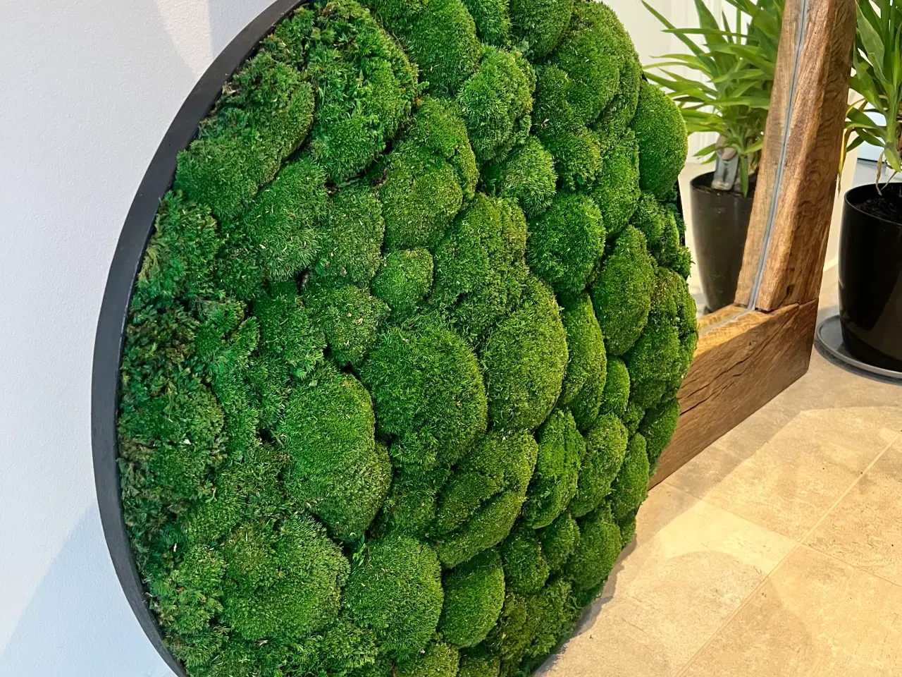 Billede 5 - Mos billede af pudemos