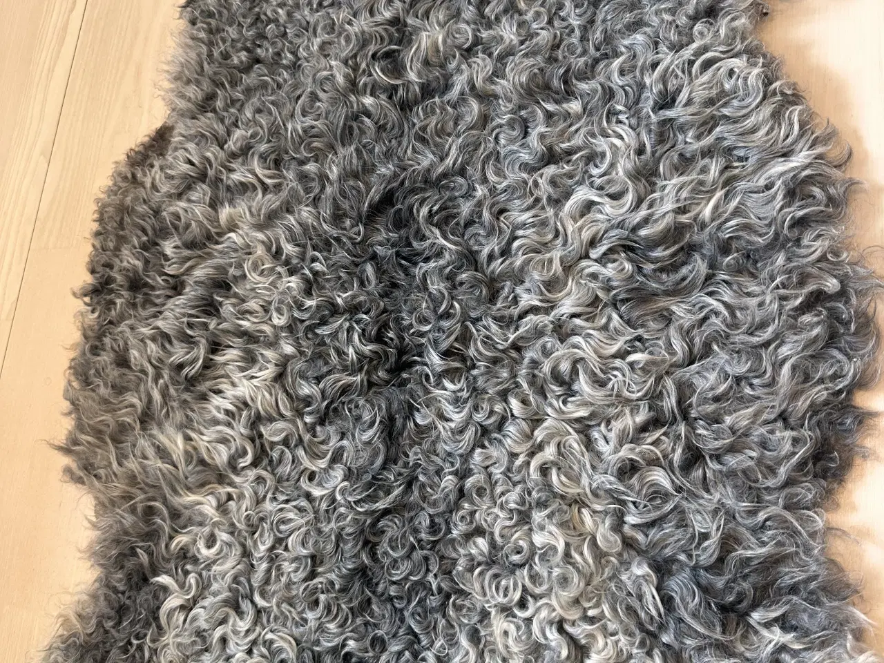 Billede 4 - Helt nyt gotlandsk lammeskind 