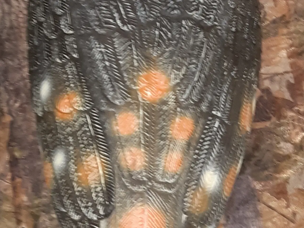 Billede 5 - Camouflagenet, lokkeugle og krage lokkekald.