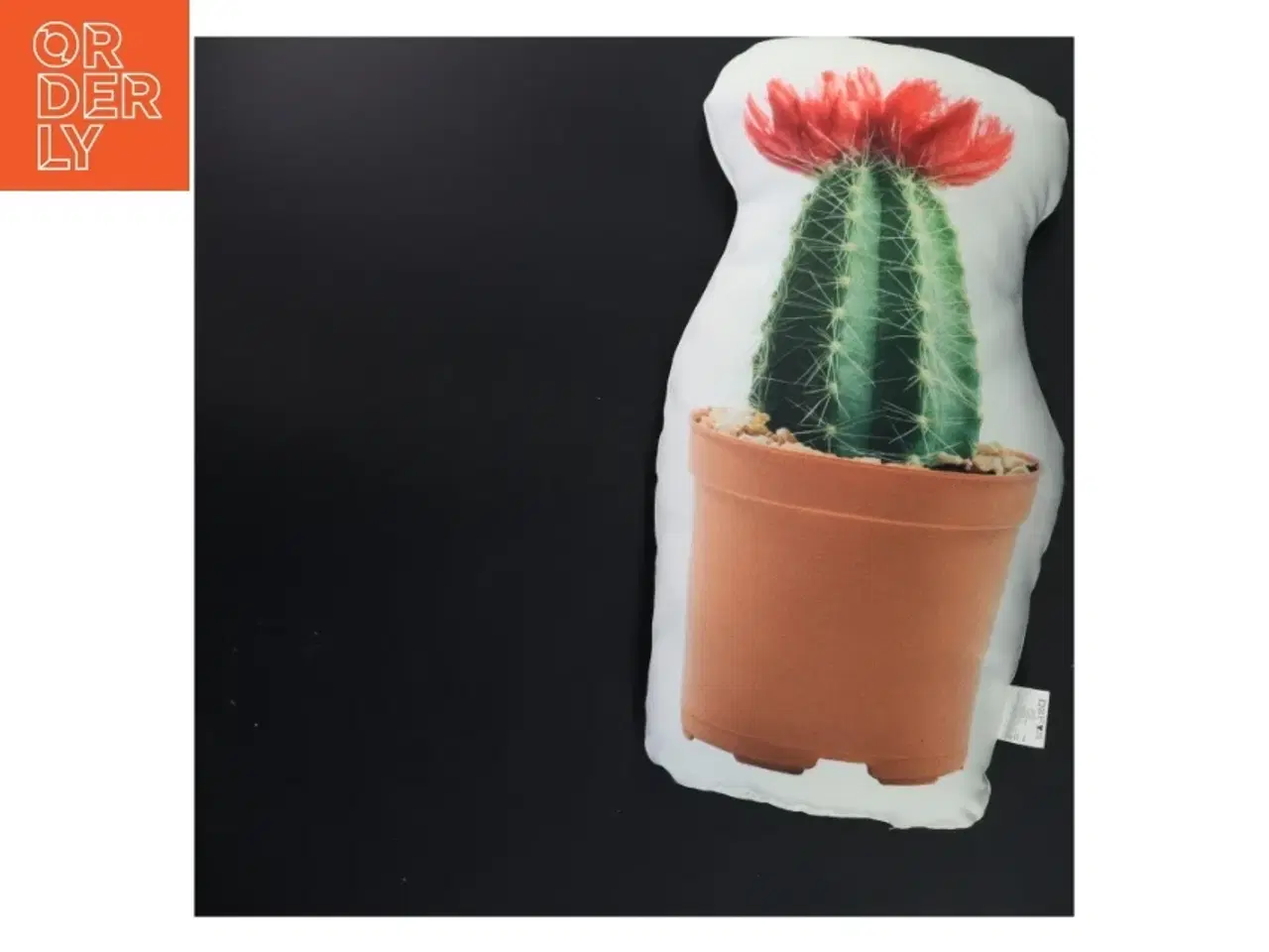 Billede 1 - Pude med kaktusmotiv (str. 35x20x5 cm)