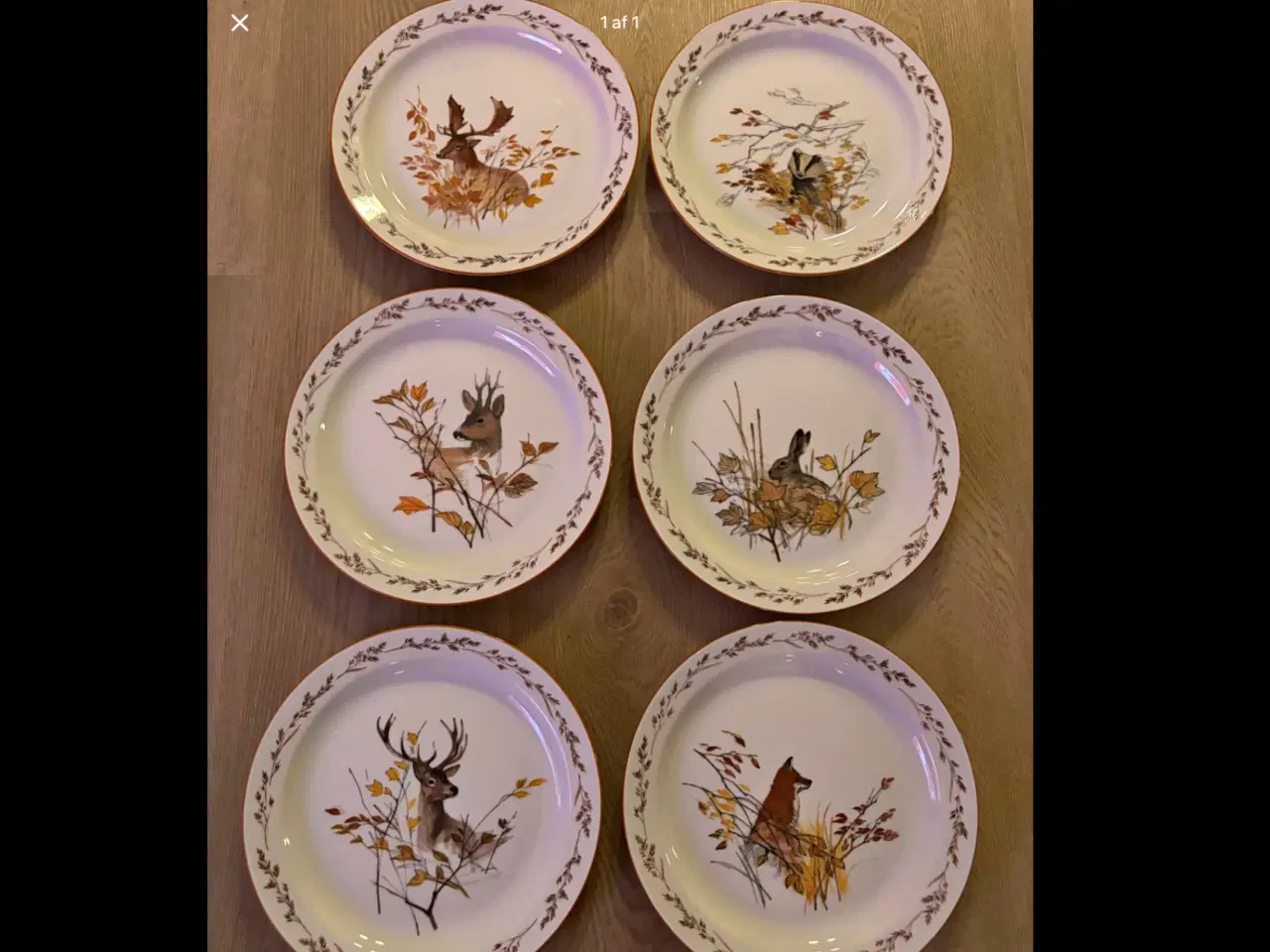 Billede 5 - KØBES MADS STAGE JAGT STEL