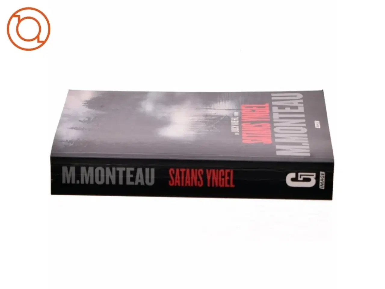 Billede 2 - Satans yngel : krimi af Marianne Monteau (f. 1965) (Bog)