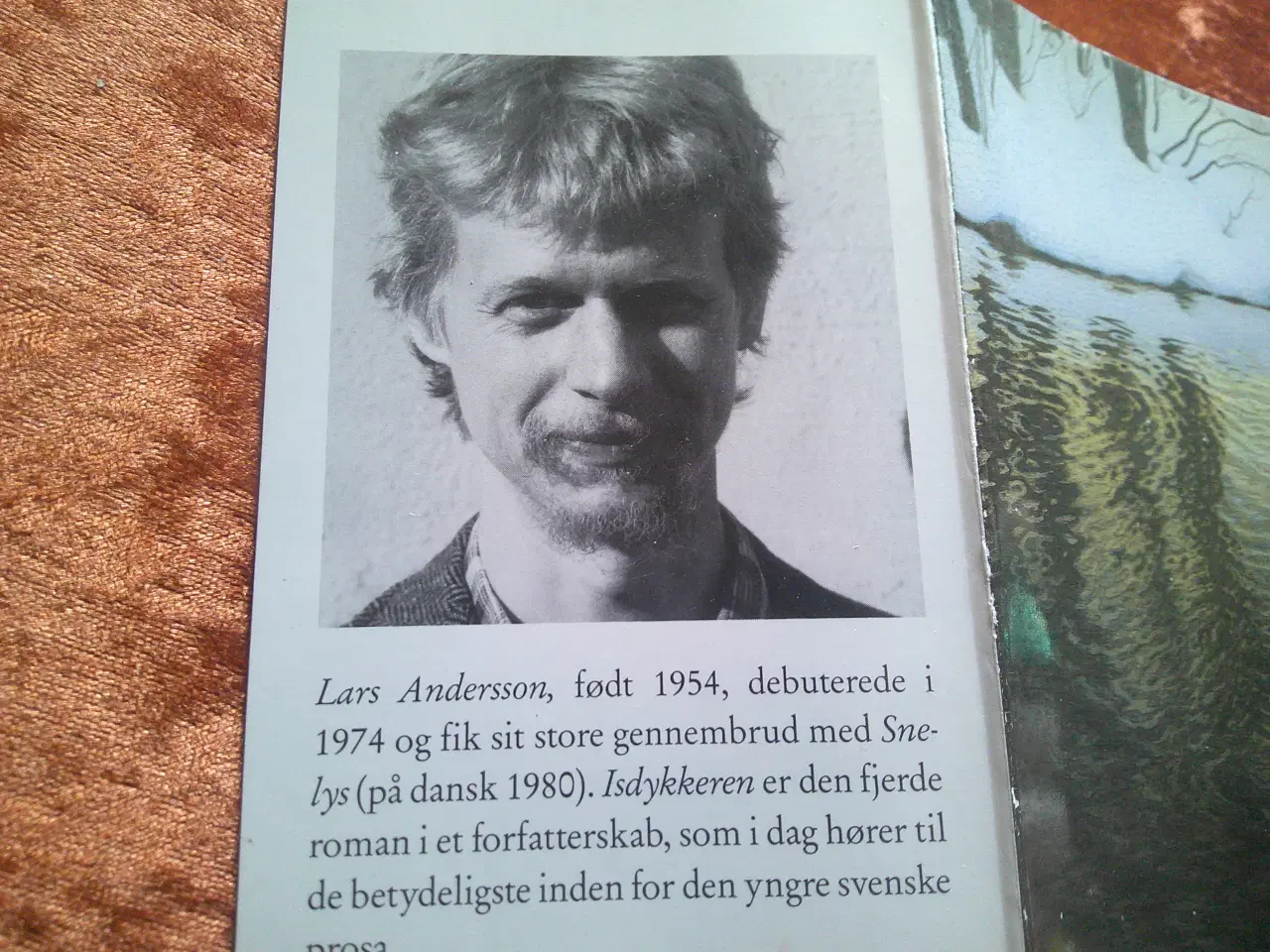 Billede 2 - Isdykkeren, Lars Andersson