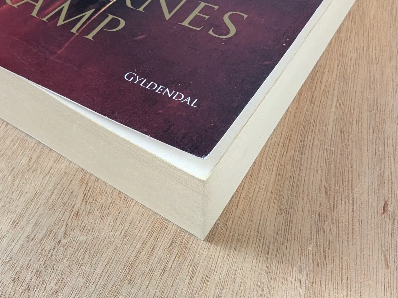 Billede 3 - George R.R. Martin Kongernes Kamp - Roman