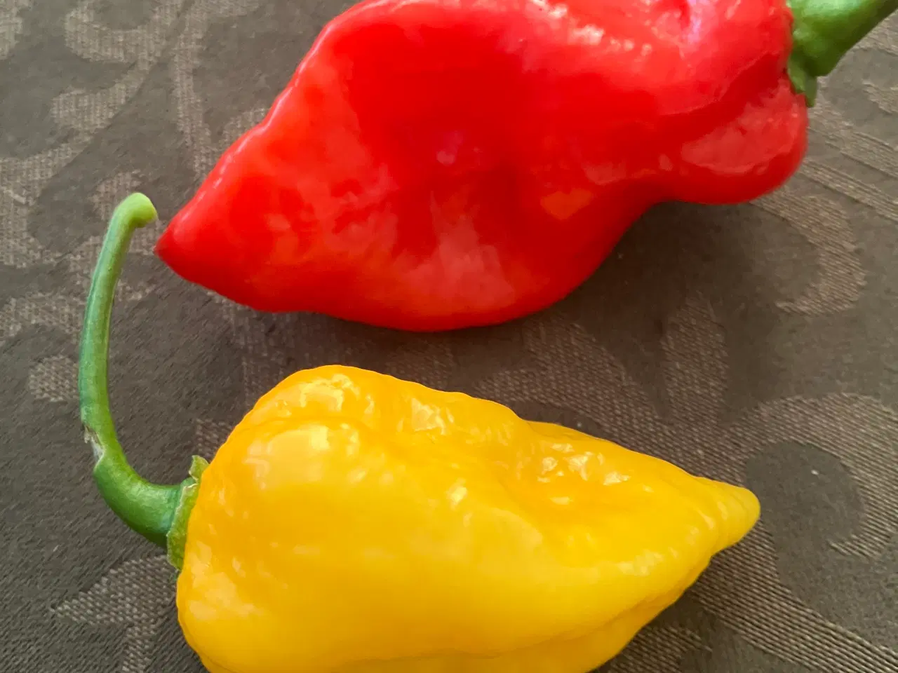 Billede 2 - chili frø -se tekstfelt