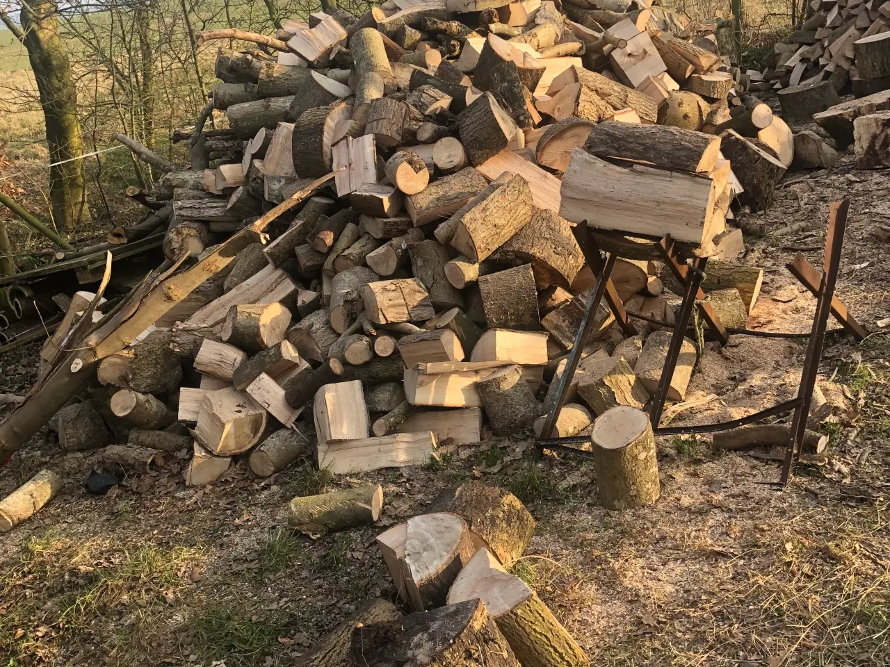 Billede 5 - Tørt rænde